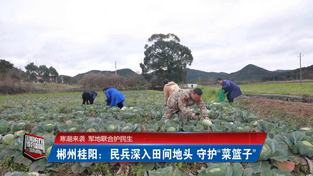 寒潮来袭 军地联合护民生