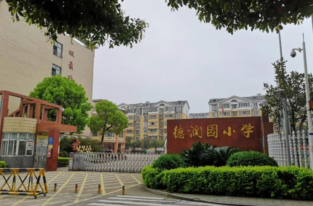 开学季·书记校长说│ 长沙市岳麓区德润园小学校长陈芳：龙年以龙之精神迈向多彩世界