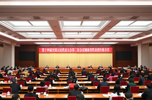 湖南代表团举行第三次全体会议