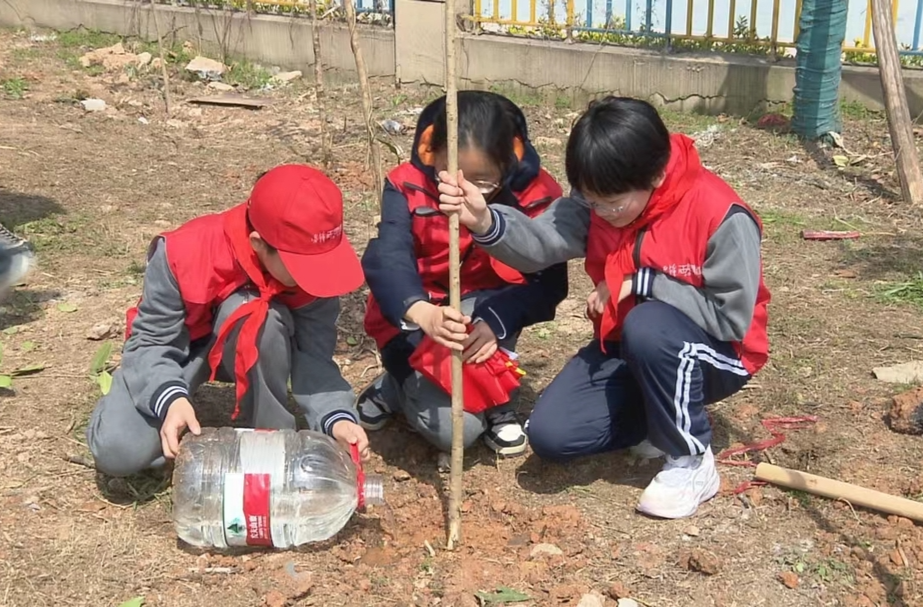 长沙中学生进社区开展植树志愿服务活动