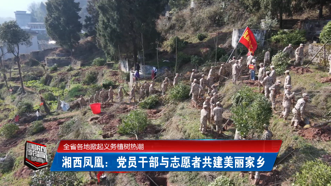 全省各地掀起义务植树热潮
