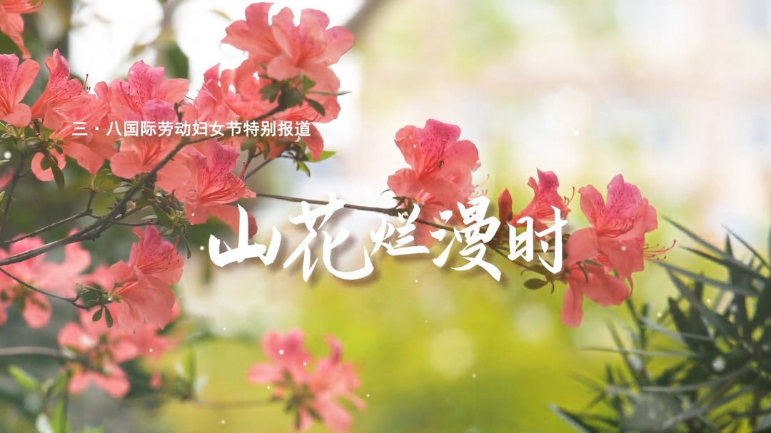 山花烂漫时（五）——张璐琪：母女俩的追“锋”故事