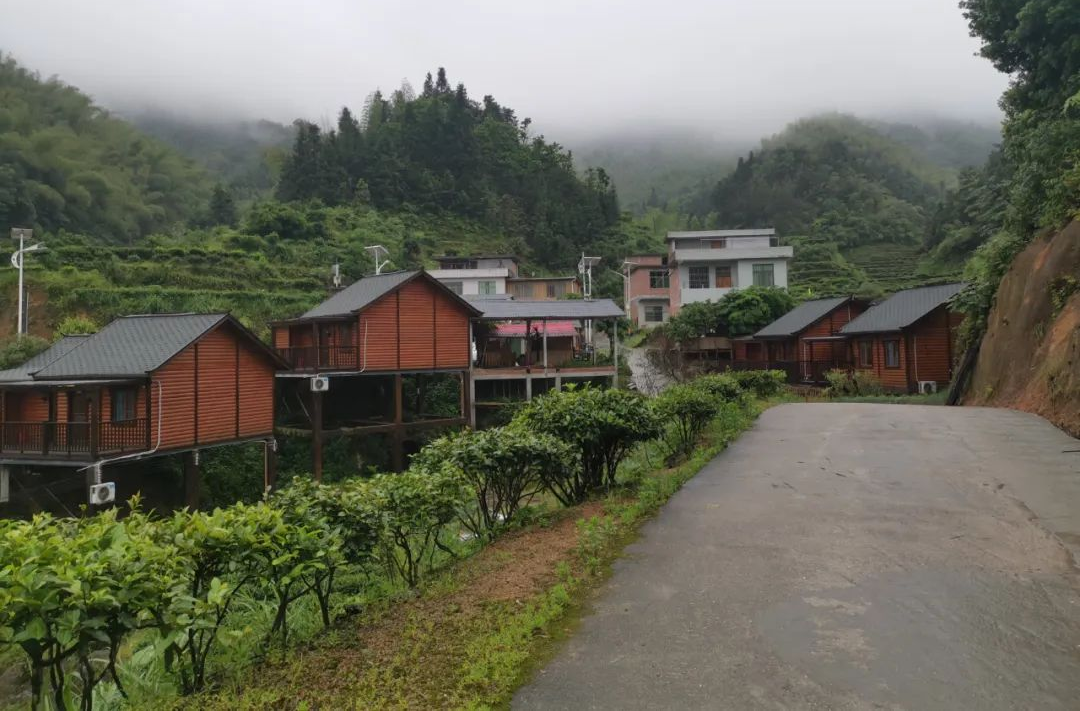 乡村振兴故事《去有风的地方》