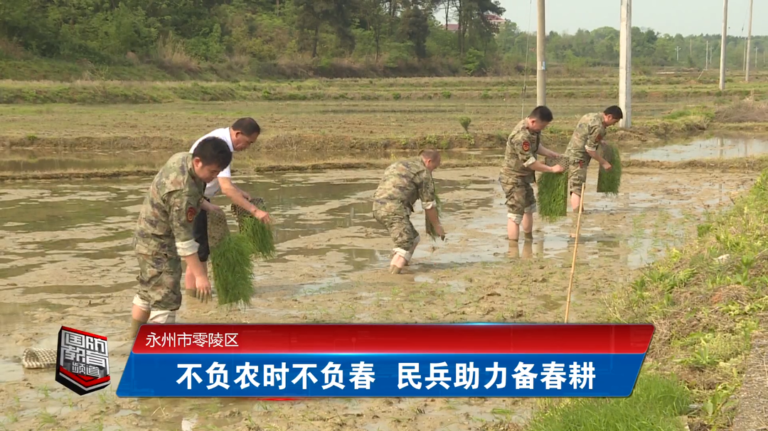 永州市零陵区：不负农时不负春 民兵助力备春耕