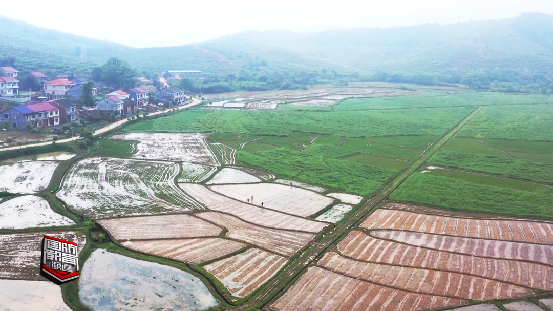 株洲茶陵：未雨绸缪 积极应对新一轮降雨天气