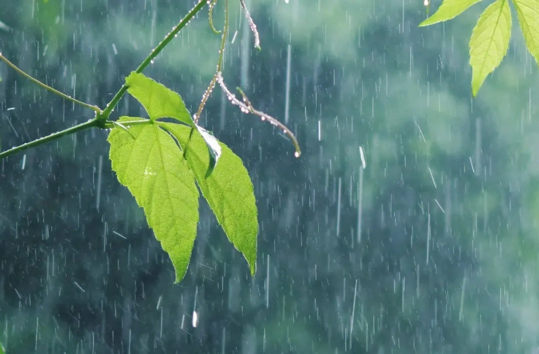中央气象台解除暴雨黄色预警、强对流天气蓝色预警