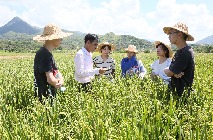 服务乡村振兴 高校大有可为