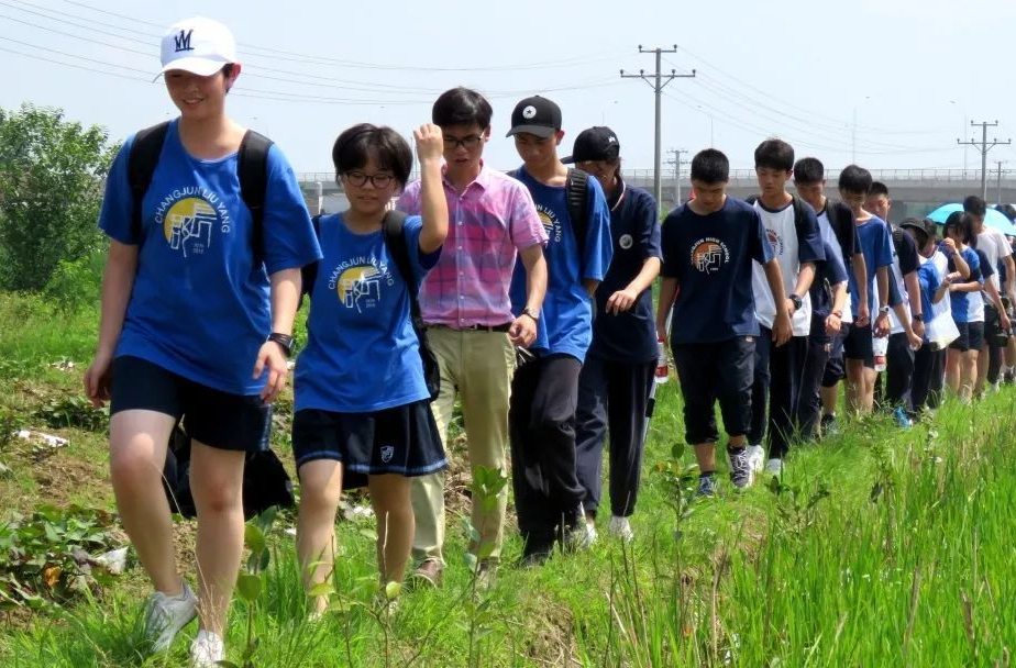 取消中小学生社会实践证明！浏阳多部门联动根治“万能章”