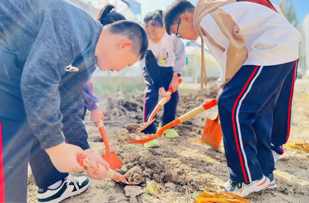 暑期“研学游”热度攀升 今年有哪些新趋势？如何避坑？