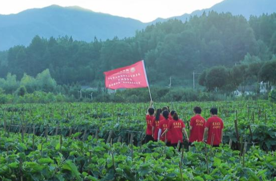 大学生暑期实践：青马寻迹 乡村振兴
