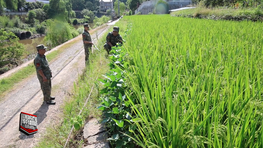 怀化市鹤城区人武部积极开展抗旱救灾
