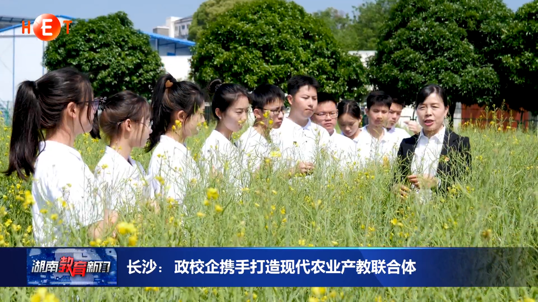 长沙：校企携手打造现代农业产教联合体