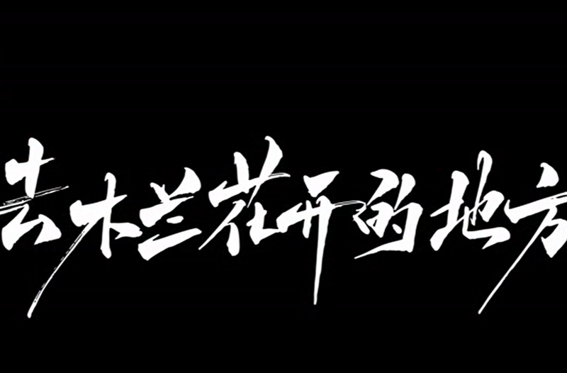 湖南师范大学宣传片《去木兰花开的地方》