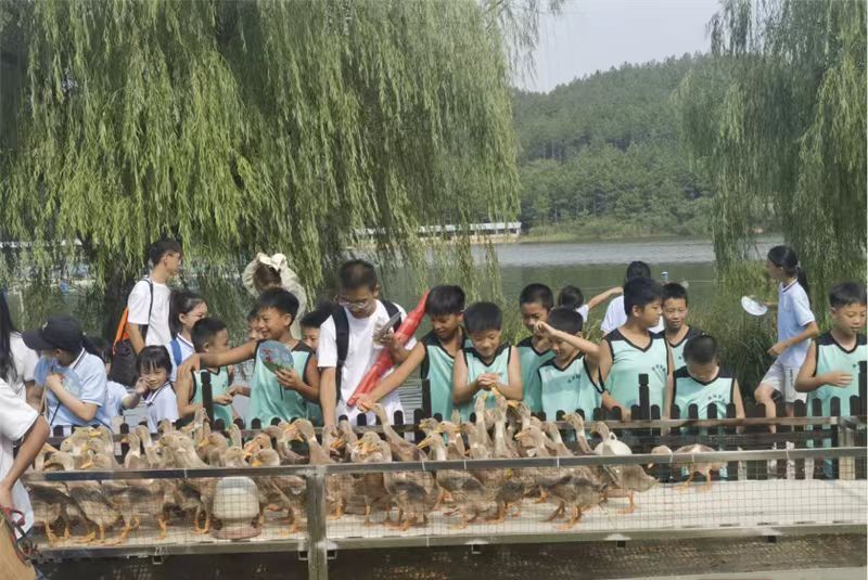 郴州·临武县：为暑期留守儿童搭建开心乐园