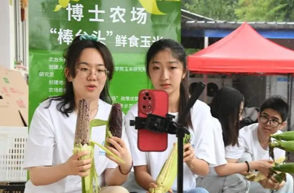 大学生做UP主，到底“香不香”？