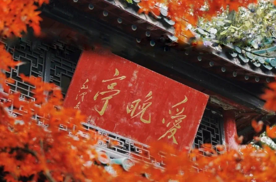 你打卡了吗？湖南高校网红地“出片”了……