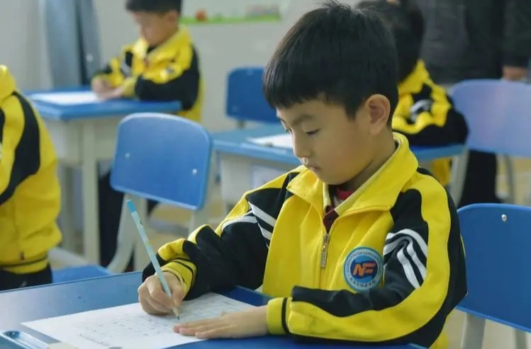 如何加强中小学规范汉字书写教育？教育部解读→