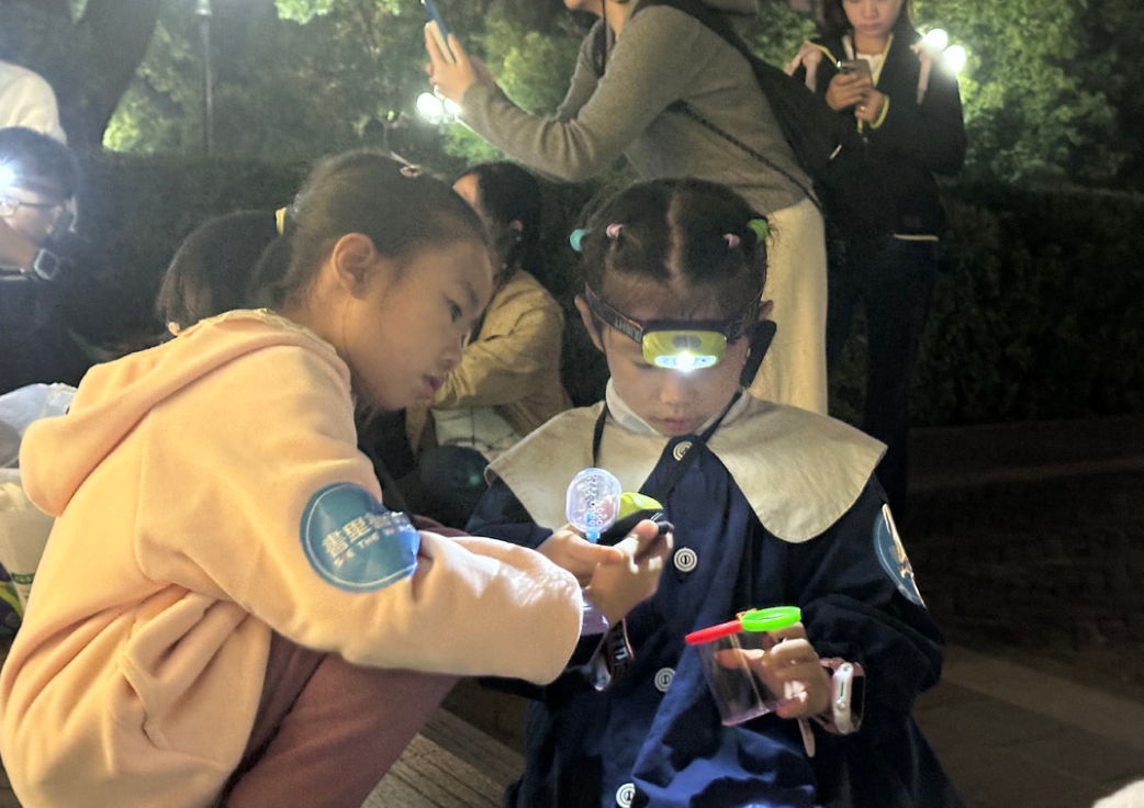 夜幕下探虫，长沙小学生在橘子洲开启“昆虫奇妙夜”