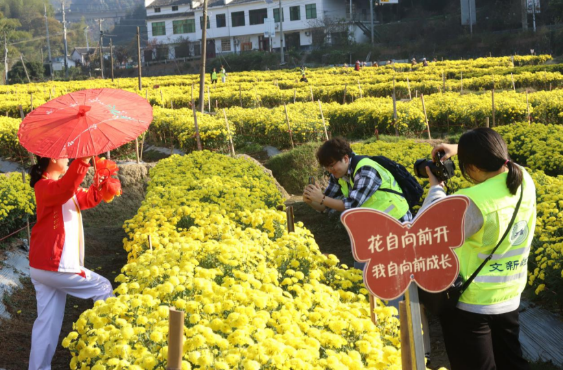 湘潭大学：新闻课堂设在田间地头，文旅助农融入实践教学
