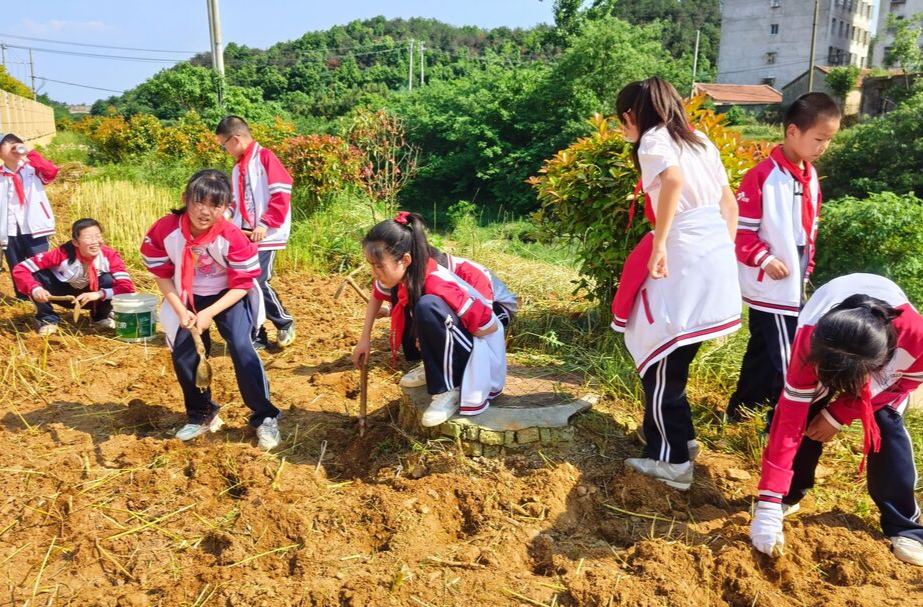 公示中！第三批湖南省中小学劳动教育实验区、实验校和实践基地名单