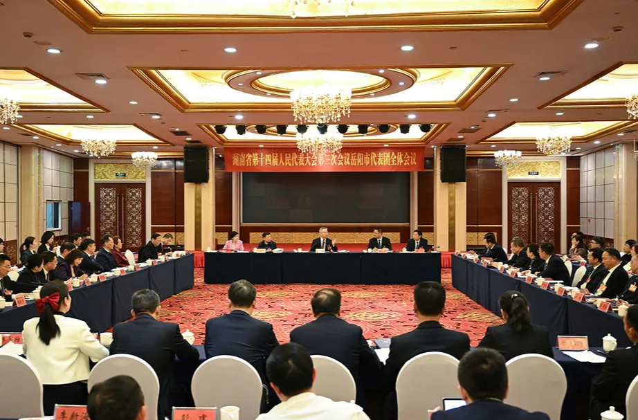 湖南省委书记来到岳阳市代表团，强调了“三个机遇”“三个责任”