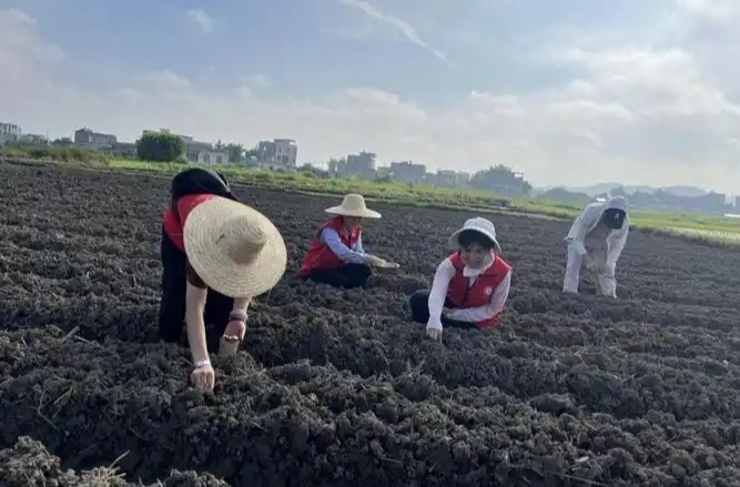 780余个基层事业编制！湖南启动2025年农林水特岗人员定向培养计划