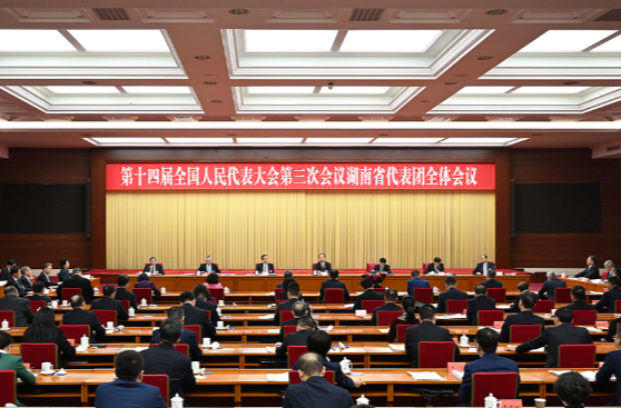 湖南代表团举行第二次全体会议
