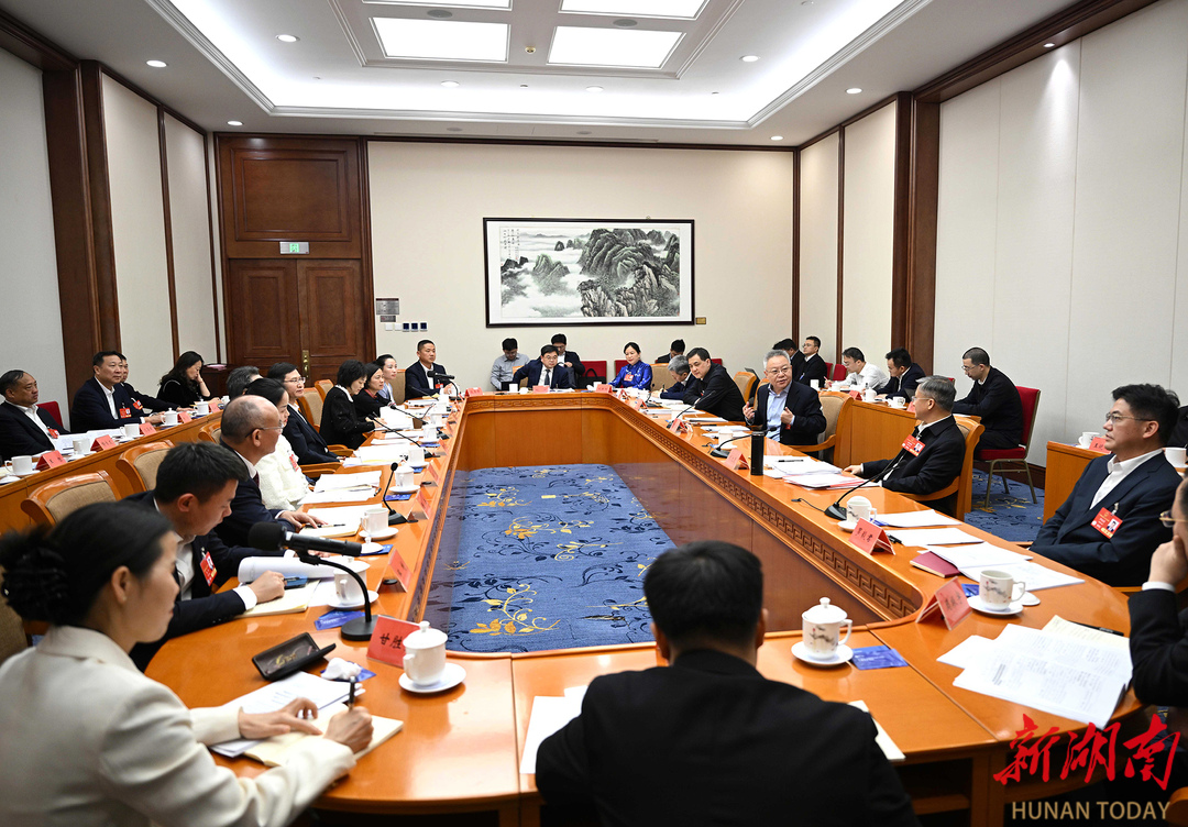 湖南代表团举行分组会议 审议代表法修正草案