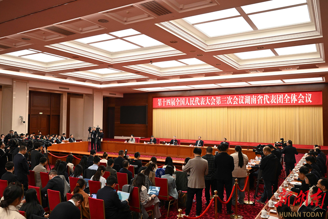 湖南代表团举行第三次全体会议并向中外媒体开放