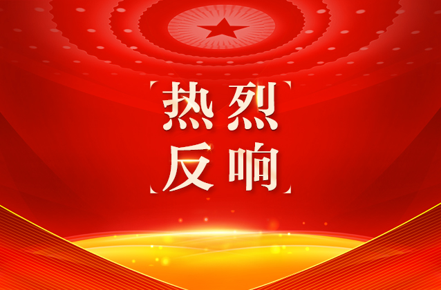 习近平总书记在民盟民进教育界联组会上的重要讲话激发在湘全国人大代表奋进力量