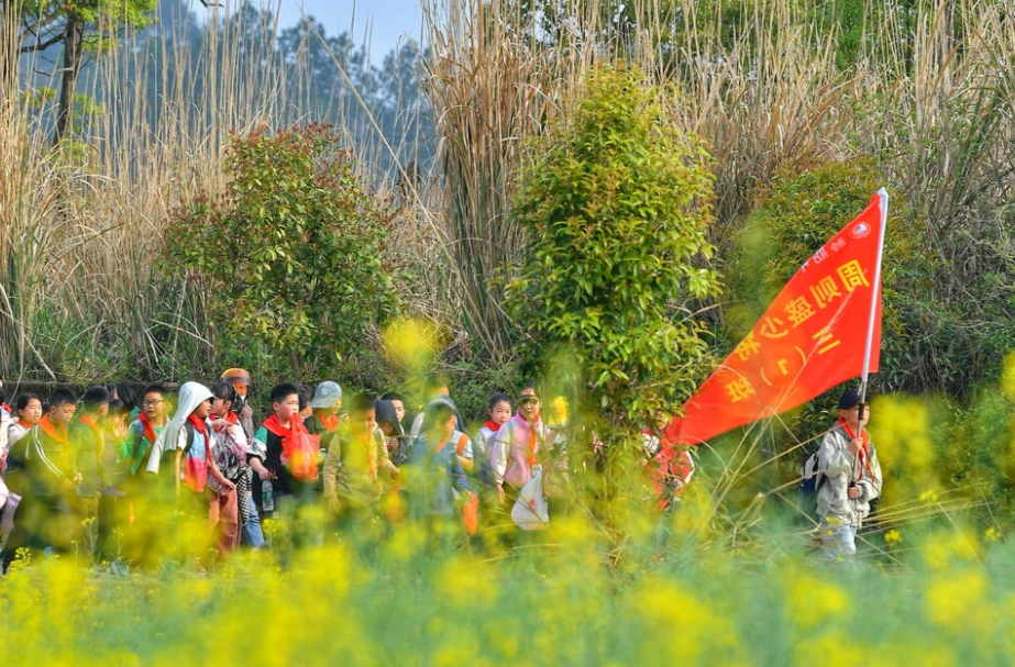 徒步往返18公里祭英烈，株洲茶陵这所学校坚持了8年