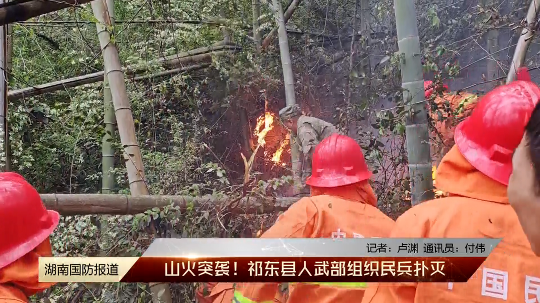山火突袭！祁东县人武部组织民兵扑灭