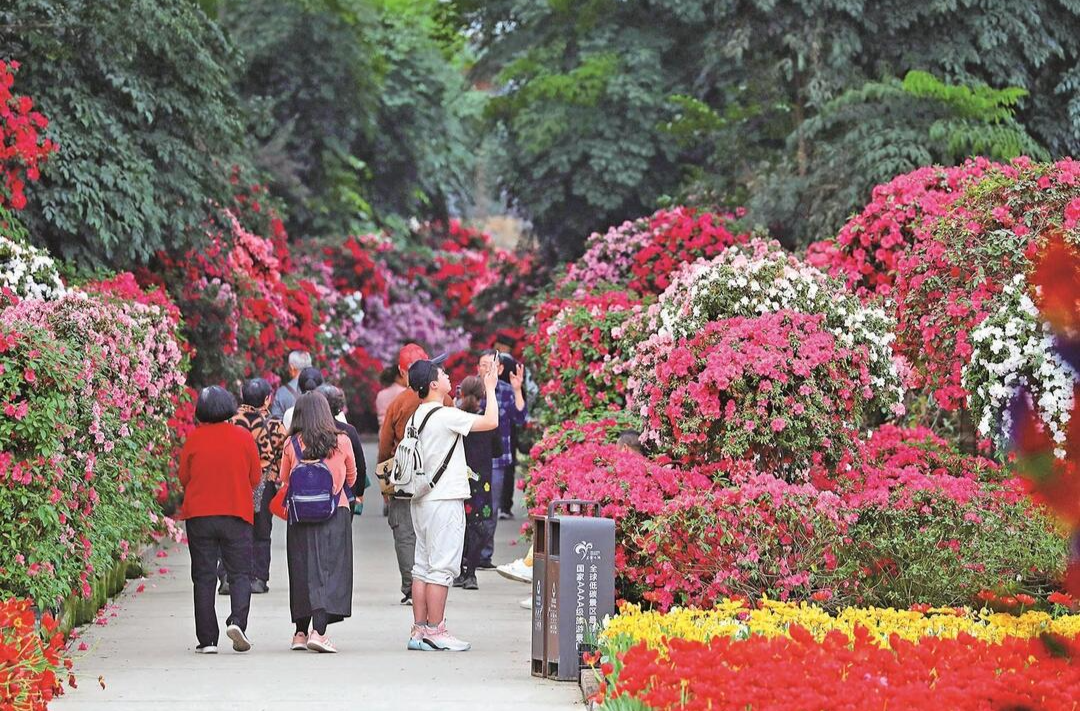 创新高！清明假期全社会跨区域人员流动量约7.9亿人次