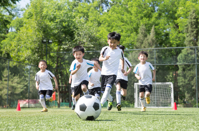 加快推进健康学校建设