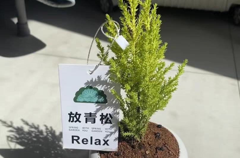 解压、治愈、陪伴……“情绪经济”为啥这么火？