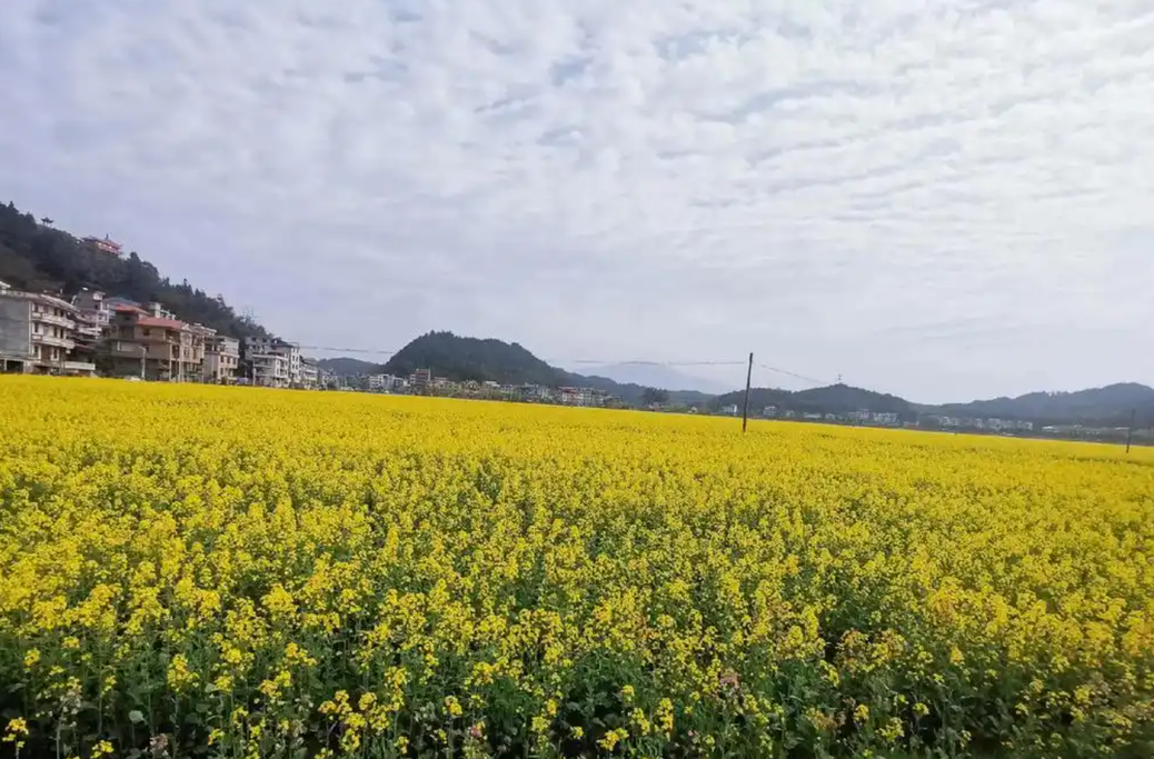 邵阳市隆回县司门前镇石山湾小学：这所村小的跑道会“变魔术”