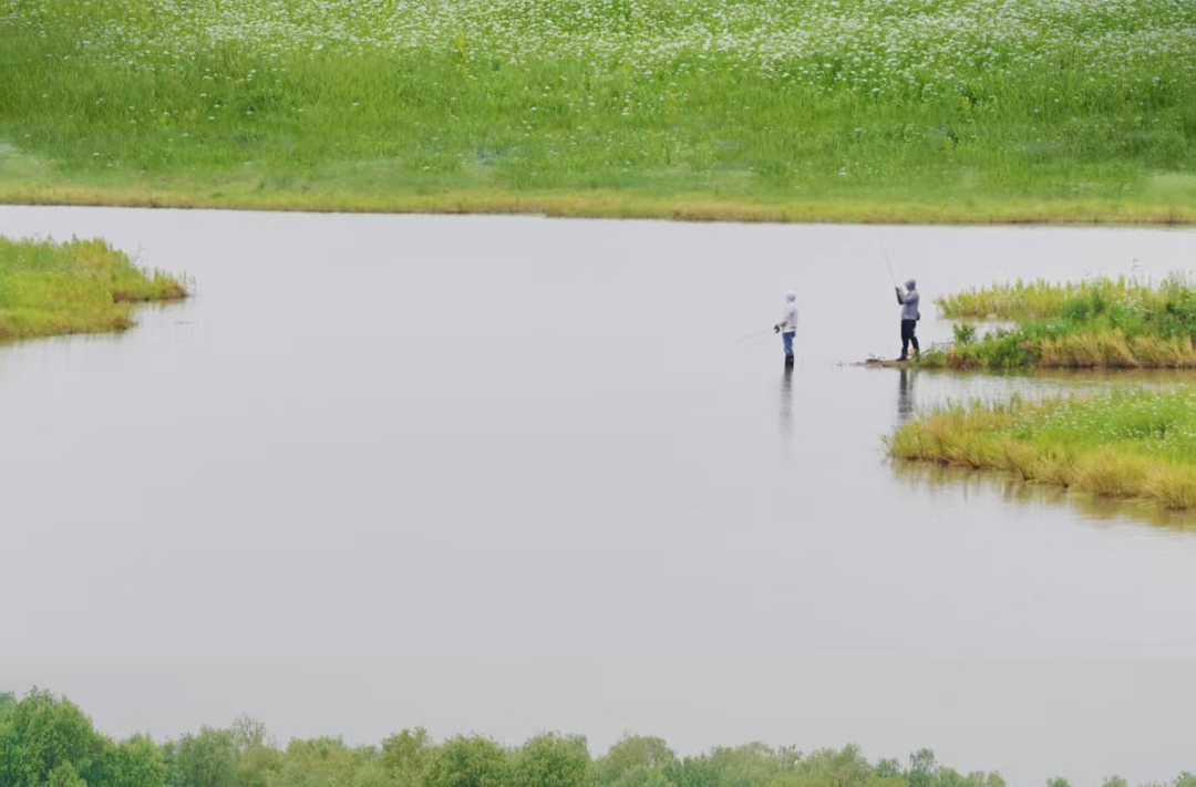 全国主流媒体齐聚岳阳 共绘“大美江湖”文旅画卷