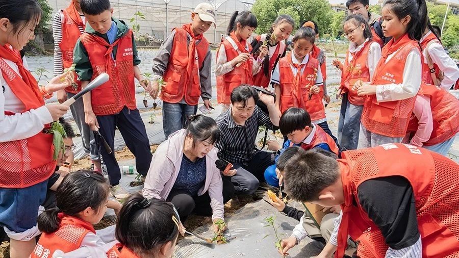 图集｜活动课“搬”进育苗棚里