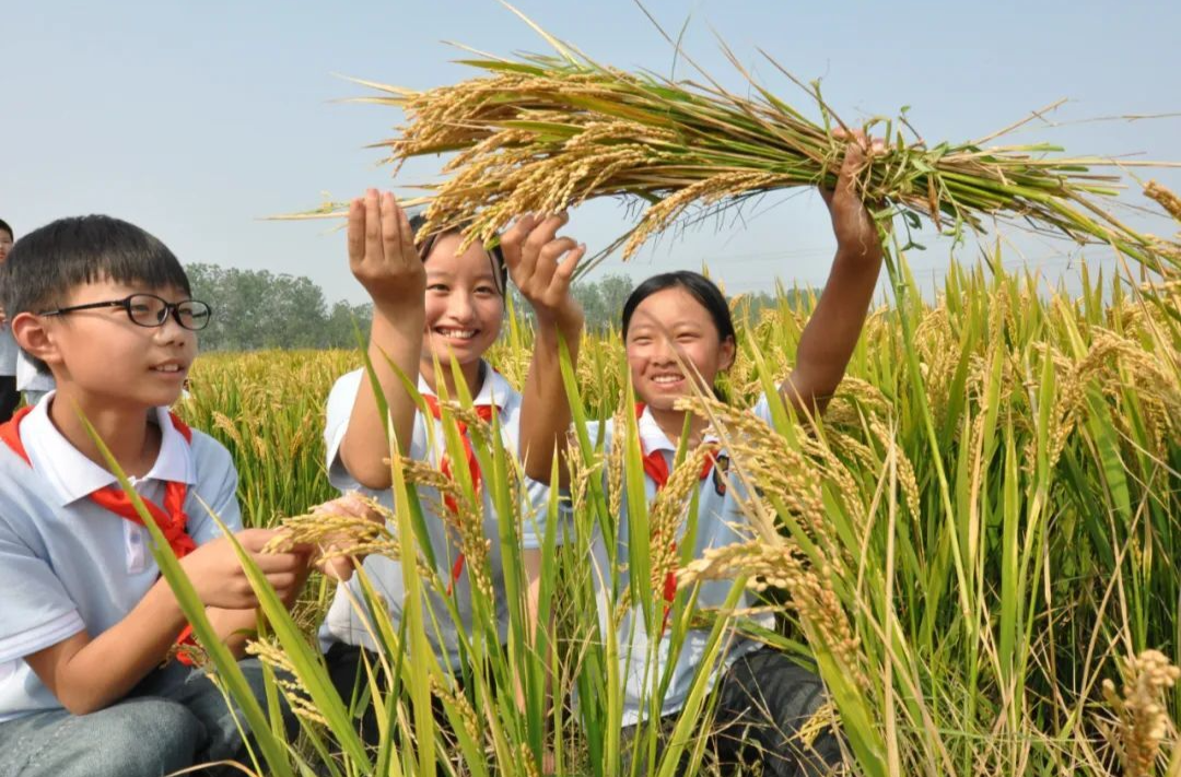 弘扬劳动精神 践行技能报国