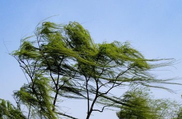 中央气象台预警升级！湖南等地部分地区有10级以上雷暴大风