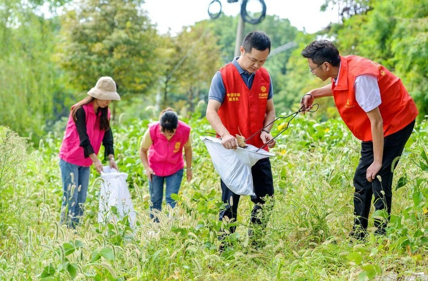 愿做星火耀祖国——高校毕业生基层就业典型群像