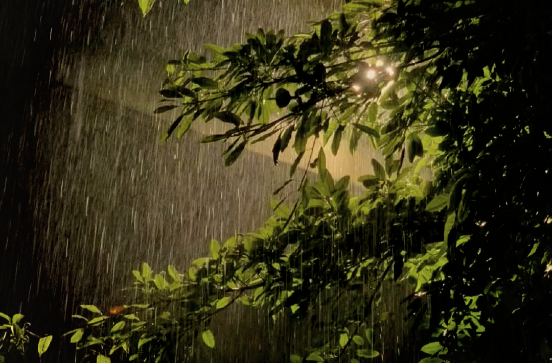 未来10天有暴雨强对流天气！湖南省应急委办公室发布汛情提醒