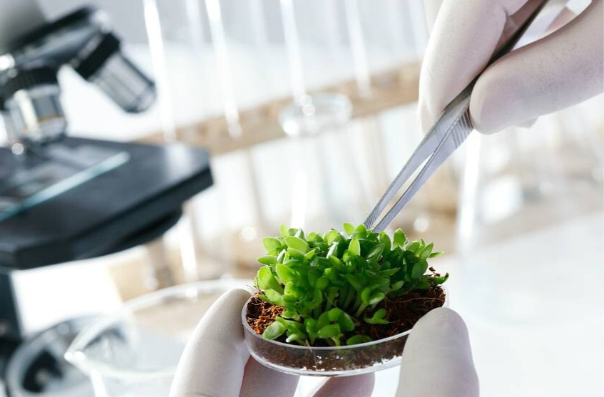 生物统计学：数据解码生命，统计守护健康