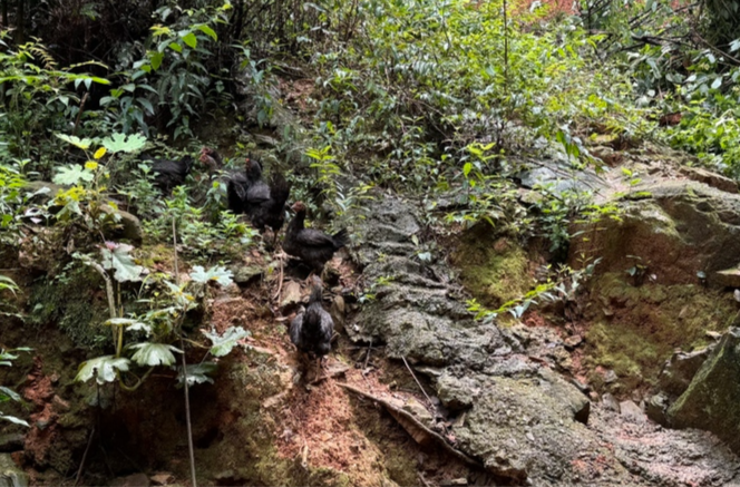 地灾黄色预警 永州市部分山地丘陵区请注意