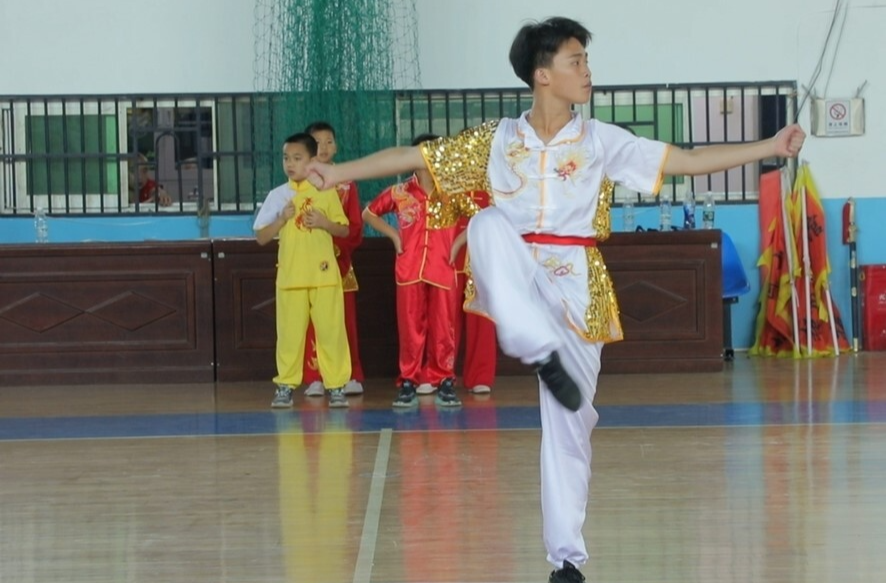 湖南首支县级专业武术队在桃江挂牌成立