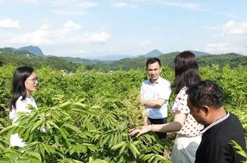 中南林业科技大学：构建“二创三融”模式 培养新林科人才