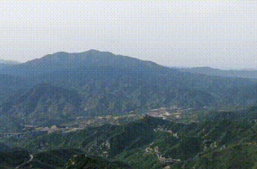 林学类，“绿色守护者”养成记