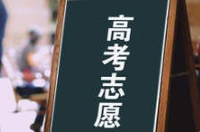 别轻易将未来交给“名师”和AI