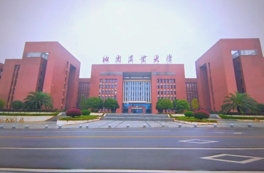湖南农业大学：岗前培训班提升毕业生适应力