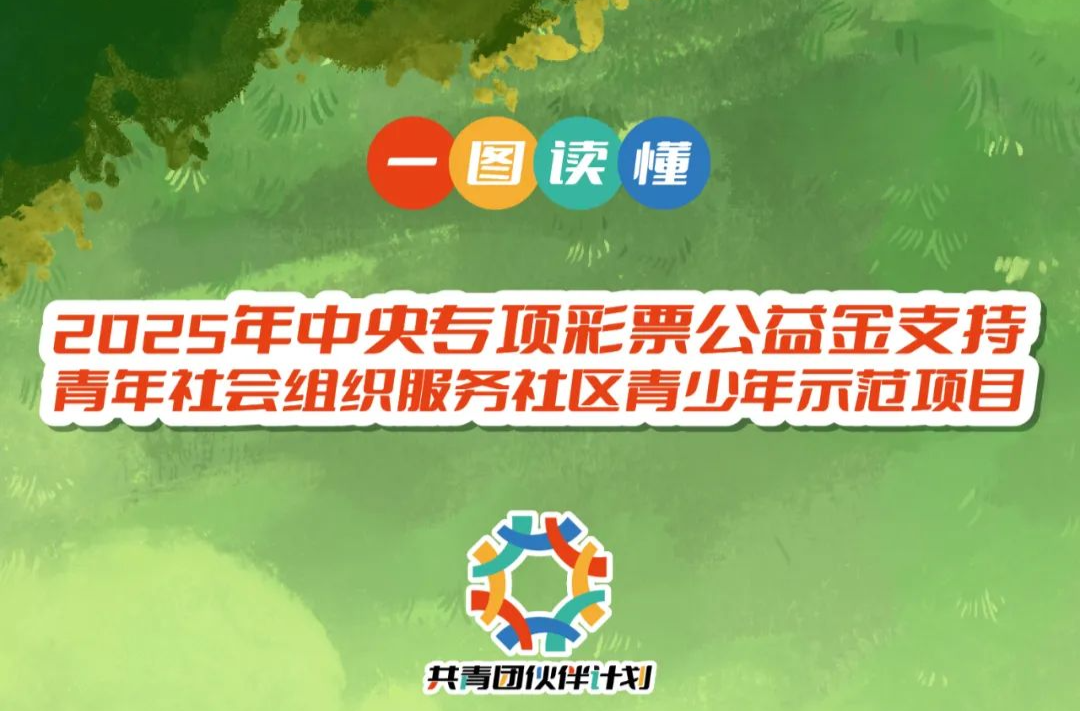一图读懂｜2025年共青团“伙伴计划”